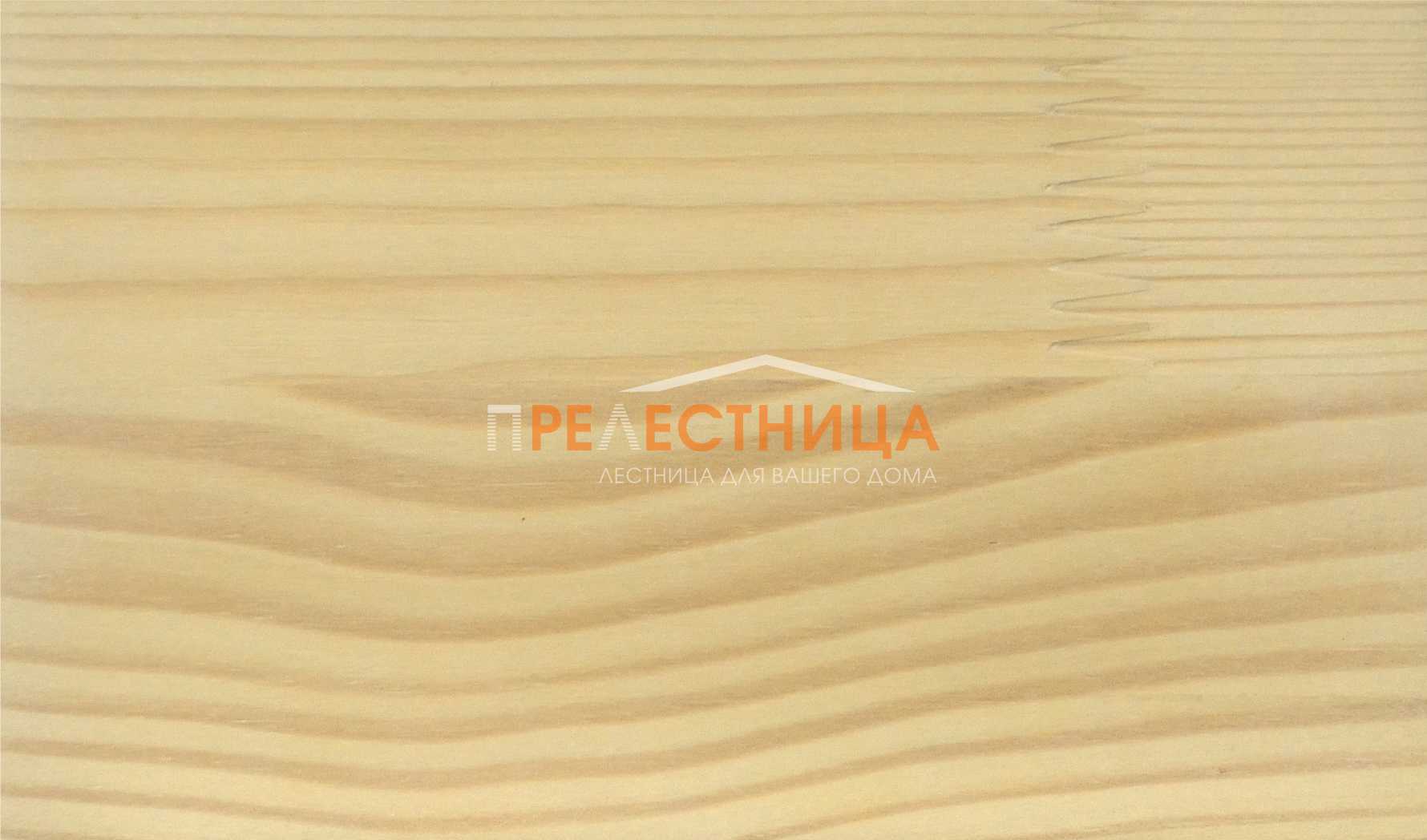Biofa sosna cvet Arktika